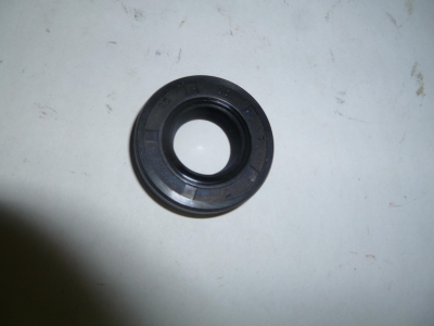 САЛЬНИК (15Х30Х7) ВАЛА КОЛЕНЧАТОГО ЗАДНИЙ TSS-GJH95/REAR OIL SEAL